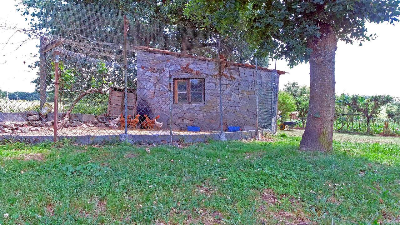 Torre Vilarino Pension Vilarino  Buitenkant foto